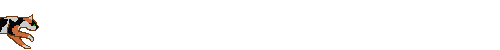 cat6.gif (31148 bytes)